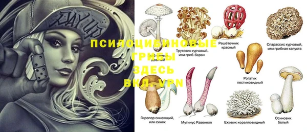 гидропоника Заводоуковск