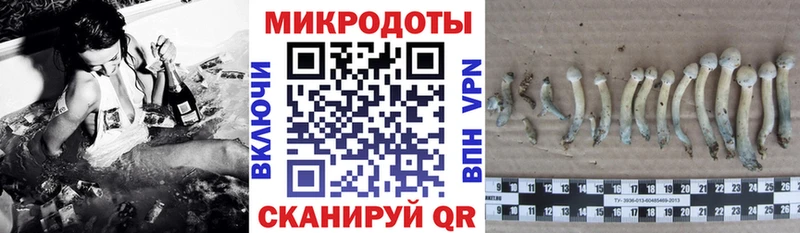 Галлюциногенные грибы Cubensis  MEGA   Ивантеевка 