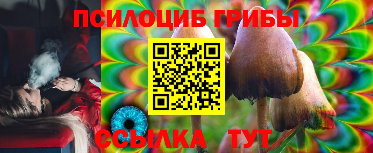 Галлюциногенные грибы прущие грибы  купить   Ивантеевка  Вход с VPN 