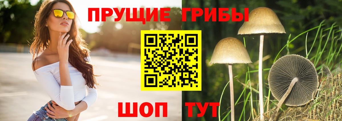 Псилоцибиновые грибы GOLDEN TEACHER  Ивантеевка 